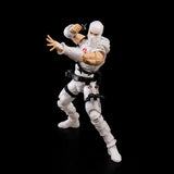 Flame Toys G.I. Joe Storm Shadow Furai Model 23