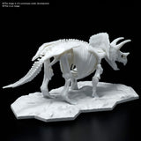 1:32 Triceratops Limex Skeleton