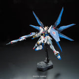 RG 1:144 Strike Freedom Gundam (14)