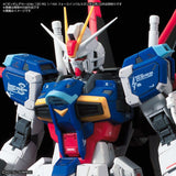 Gundam Decal No.130 for RG Force Impulse Gundam