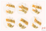 Sousai Shojo Teien feamle model kit hand options